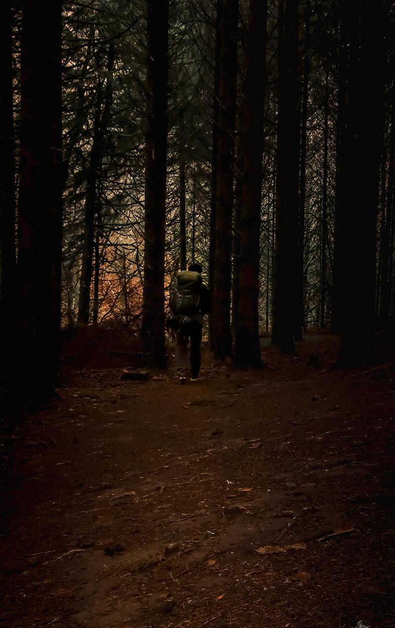 Randonneur avec sac à dos sur un sentier en forêt de résineux